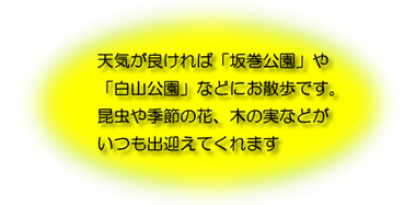 １～２歳児園外保育の様子画像
