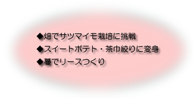 ４歳児園外保育の説明