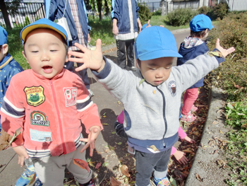 2016夏たんぽぽ組写真1