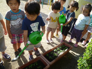 2016夏ゆり組写真1