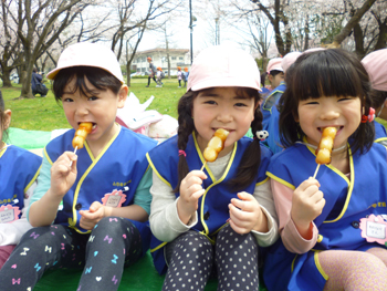 2017春ひまわり組写真3