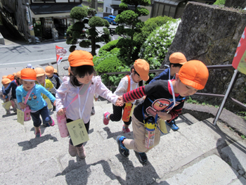 2019春ひまわり組写真3