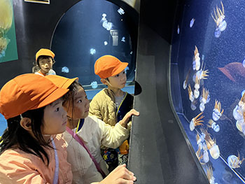 2025秋ひまわり組写真1