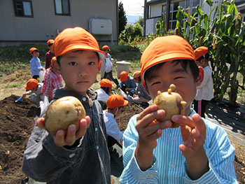 2025夏ひまわり組写真4