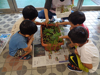 2025夏ゆり組写真3