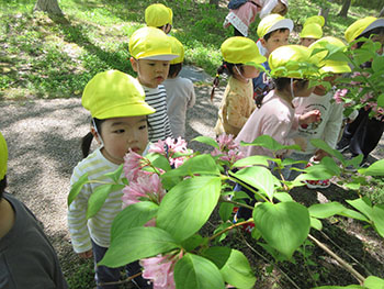 2025春ちゅーりっぷ組写真1