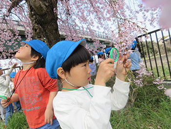 2025春さくら組写真1