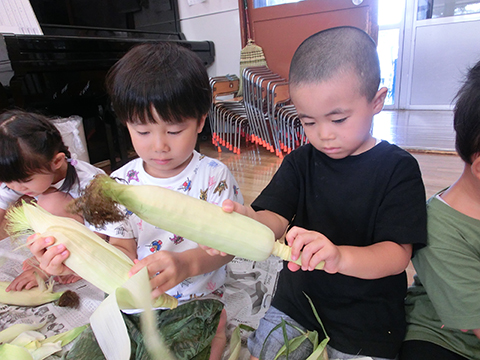 給食 食育画像１