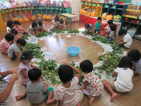 給食 食育画像２