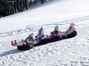 2025冬ひまわり組写真2